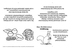 Eichhörnchen-Faltbuch-Ernährung.pdf